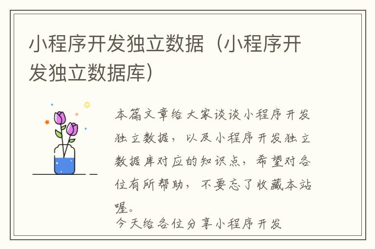 小程序开发独立数据(小程序开发独立数据库)