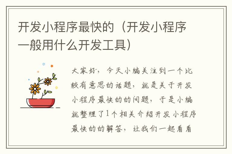 开发小程序最快的(开发小程序一般用什么开发工具)