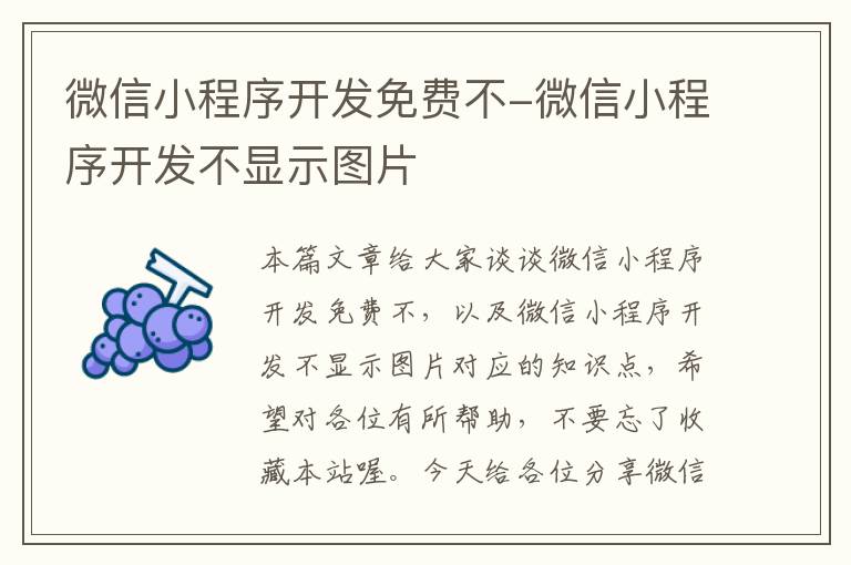 微信小程序开发免费不-微信小程序开发不显示图片