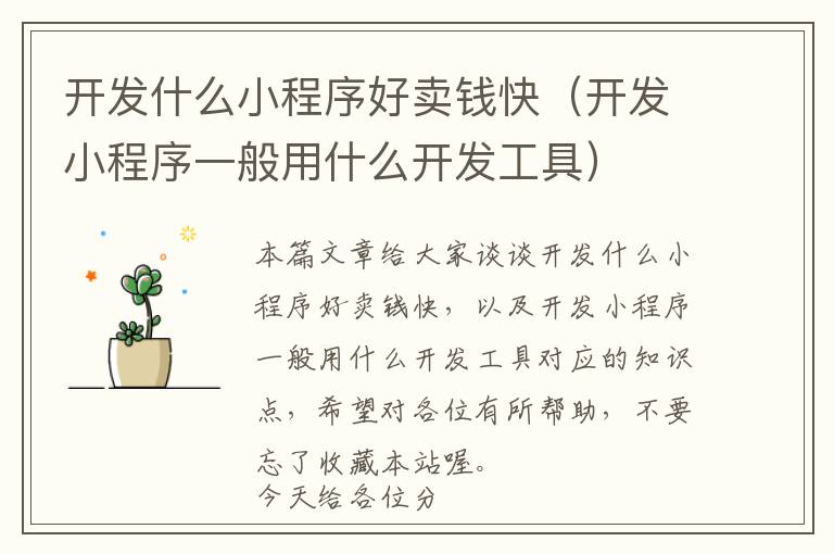 开发什么小程序好卖钱快(开发小程序一般用什么开发工具)