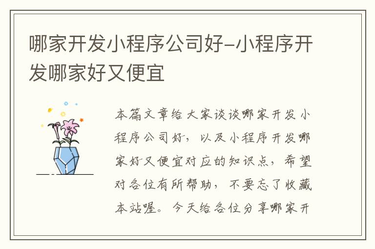 哪家开发小程序公司好-小程序开发哪家好又便宜