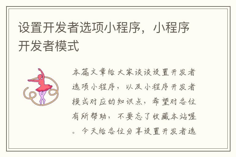 设置开发者选项小程序,小程序开发者模式