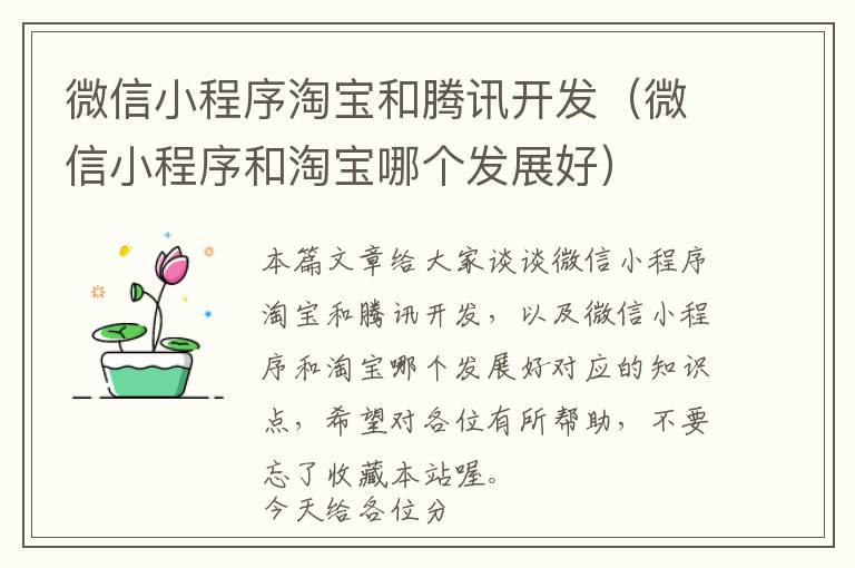 微信小程序淘宝和腾讯开发(微信小程序和淘宝哪个发展好)
