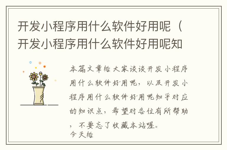 开发小程序用什么软件好用呢(开发小程序用什么软件好用呢知乎)