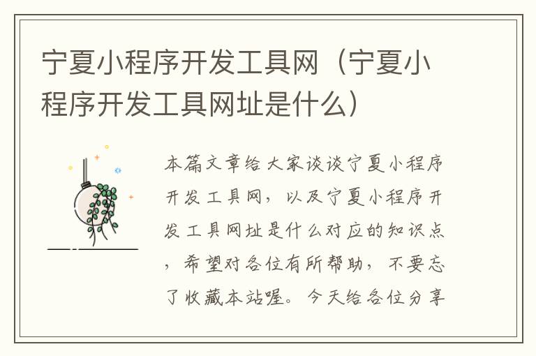 宁夏小程序开发工具网(宁夏小程序开发工具网址是什么)