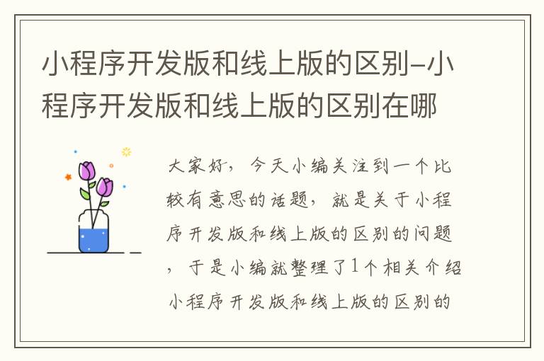 小程序开发版和线上版的区别-小程序开发版和线上版的区别在哪