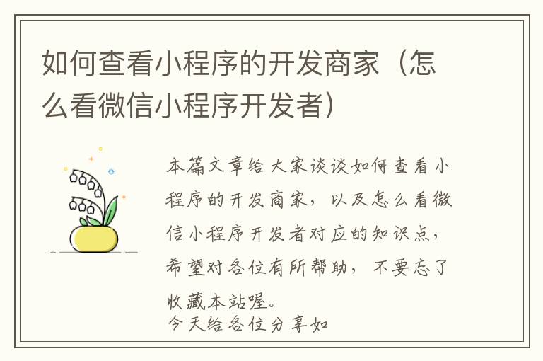如何查看小程序的开发商家(怎么看微信小程序开发者)