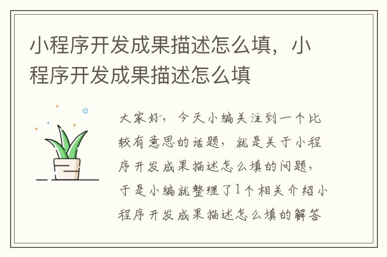 小程序开发成果描述怎么填,小程序开发成果描述怎么填