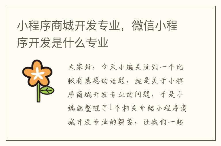 小程序商城开发专业，微信小程序开发是什么专业