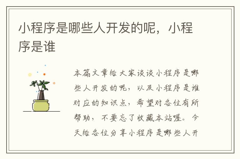 小程序是哪些人开发的呢,小程序是谁