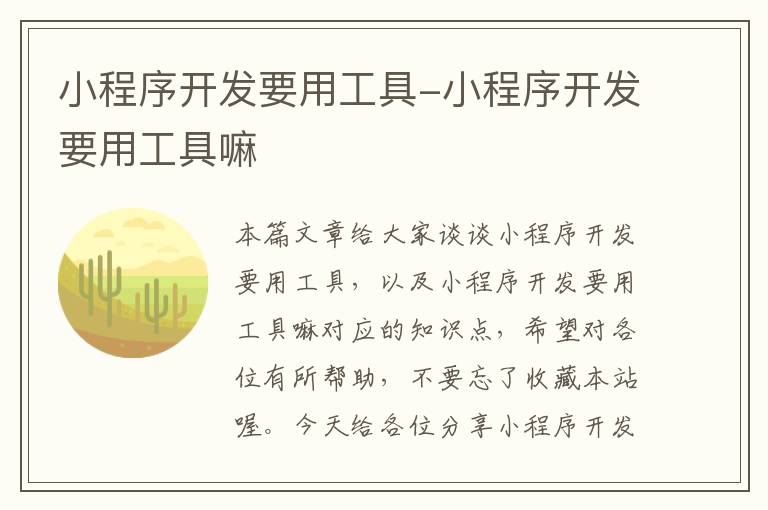 小程序开发要用工具-小程序开发要用工具嘛