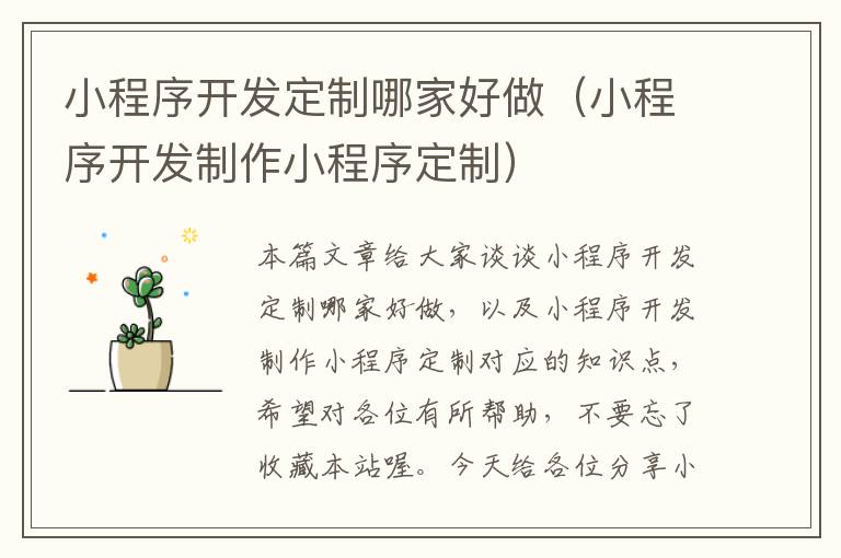 小程序开发定制哪家好做(小程序开发制作小程序定制)