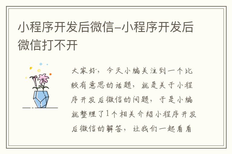 小程序开发后微信-小程序开发后微信打不开