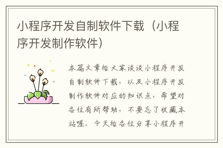 小程序开发自制软件下载(小程序开发制作软件)