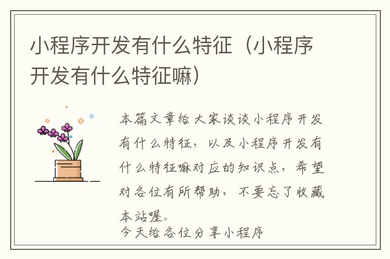 小程序开发有什么特征(小程序开发有什么特征嘛)
