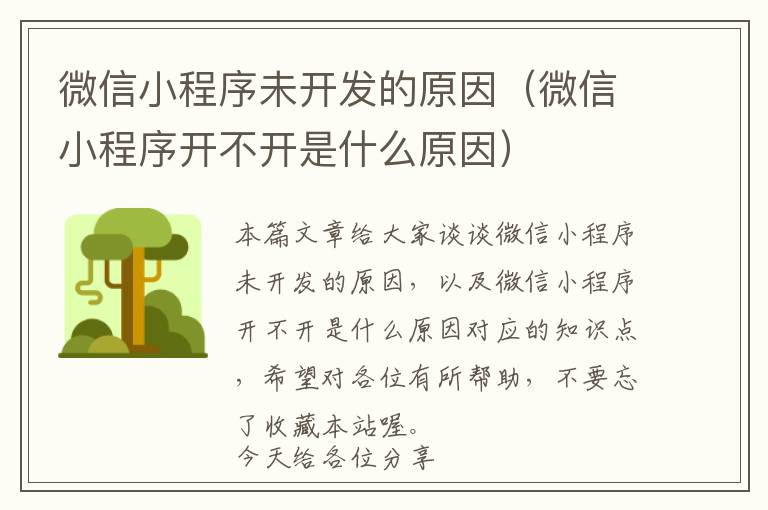 微信小程序未开发的原因(微信小程序开不开是什么原因)
