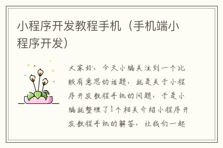 小程序开发教程手机(手机端小程序开发)