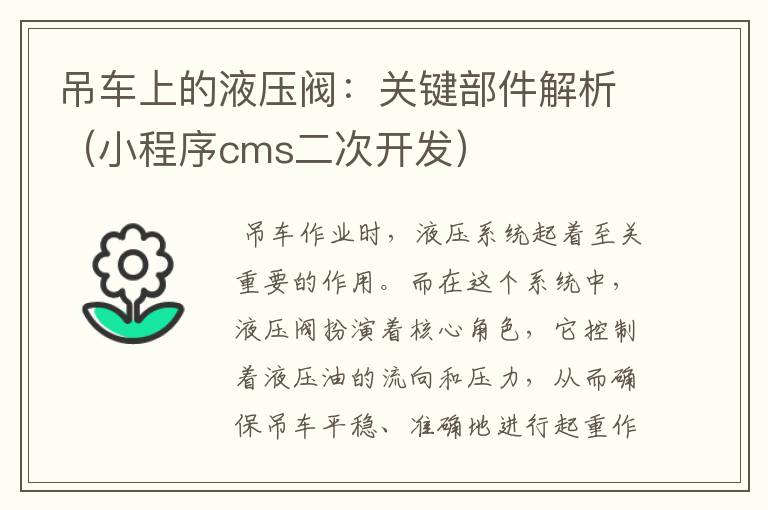吊车上的液压阀:关键部件解析(小程序cms二次开发)