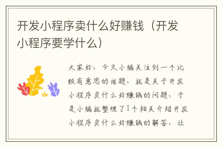 开发小程序卖什么好赚钱(开发小程序要学什么)