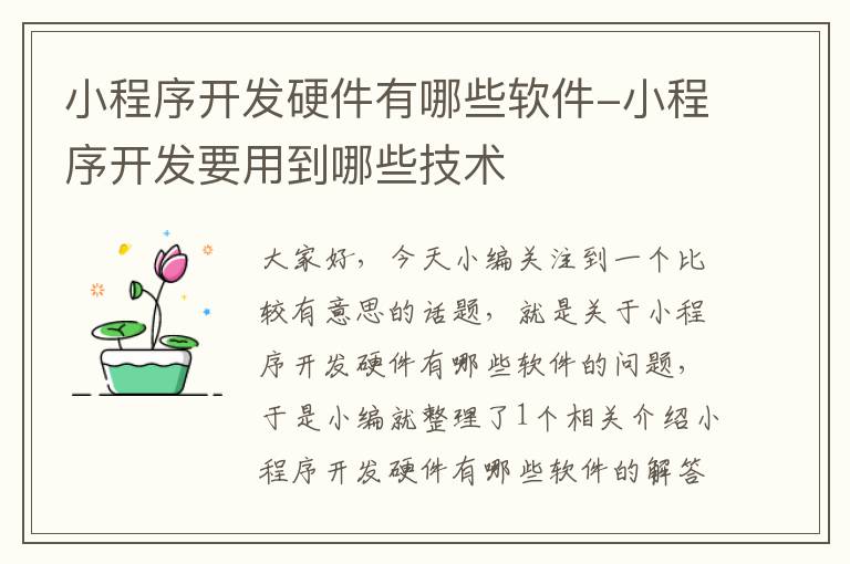 小程序开发硬件有哪些软件-小程序开发要用到哪些技术
