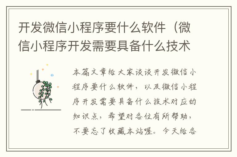 开发微信小程序要什么软件(微信小程序开发需要具备什么技术)