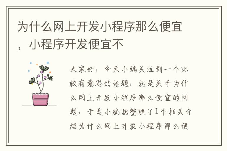 为什么网上开发小程序那么便宜,小程序开发便宜不