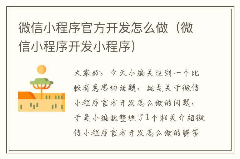 微信小程序官方开发怎么做(微信小程序开发小程序)
