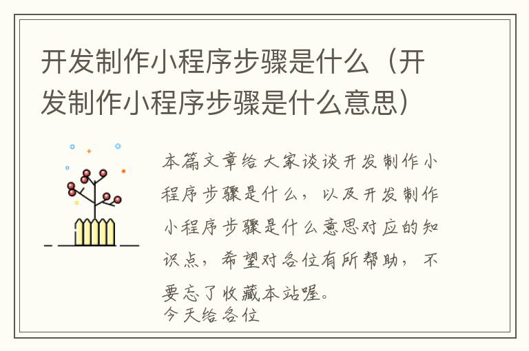 开发制作小程序步骤是什么(开发制作小程序步骤是什么意思)