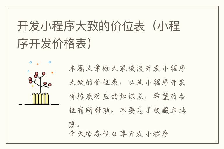 开发小程序大致的价位表(小程序开发价格表)