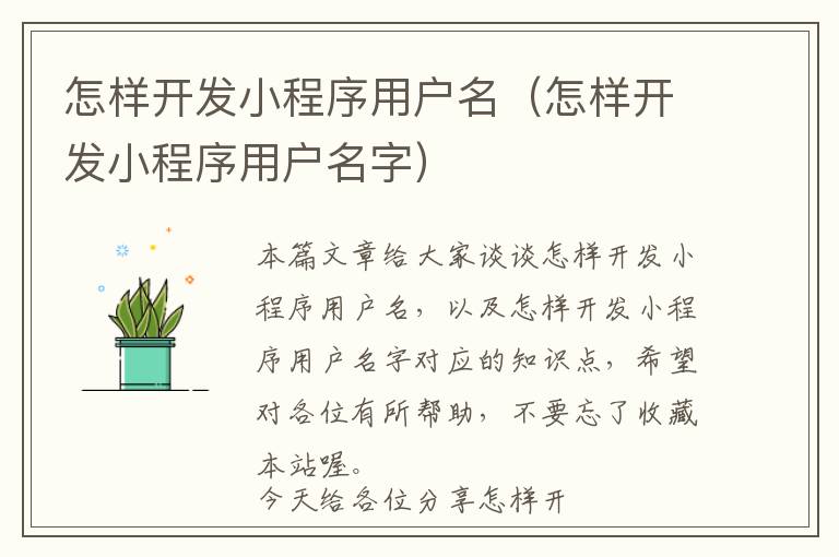 怎样开发小程序用户名(怎样开发小程序用户名字)