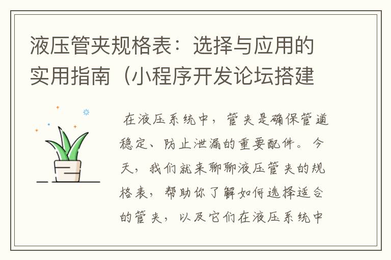 液压管夹规格表:选择与应用的实用指南(小程序开发论坛搭建方案怎么写)