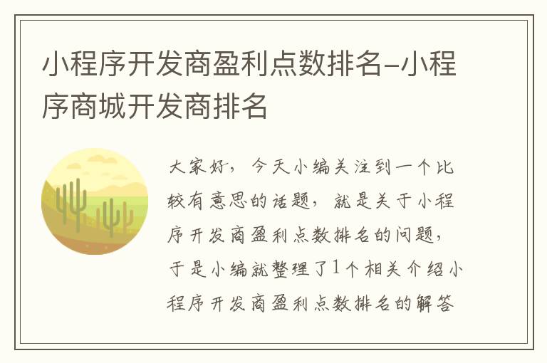 小程序开发商盈利点数排名-小程序商城开发商排名