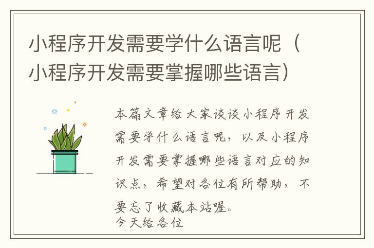 小程序开发需要学什么语言呢(小程序开发需要掌握哪些语言)