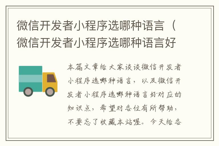微信开发者小程序选哪种语言(微信开发者小程序选哪种语言好)