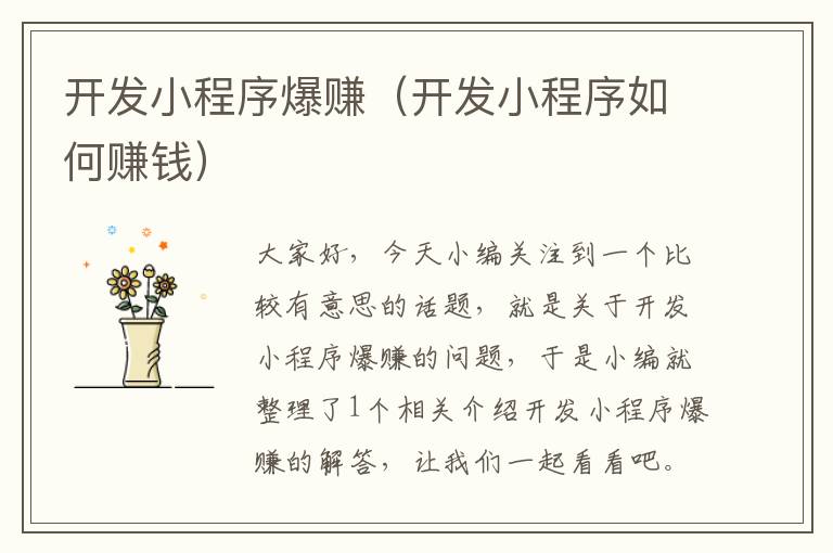 开发小程序爆赚(开发小程序如何赚钱)