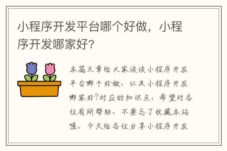 小程序开发平台哪个好做,小程序开发哪家好?