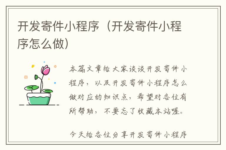 开发寄件小程序(开发寄件小程序怎么做)