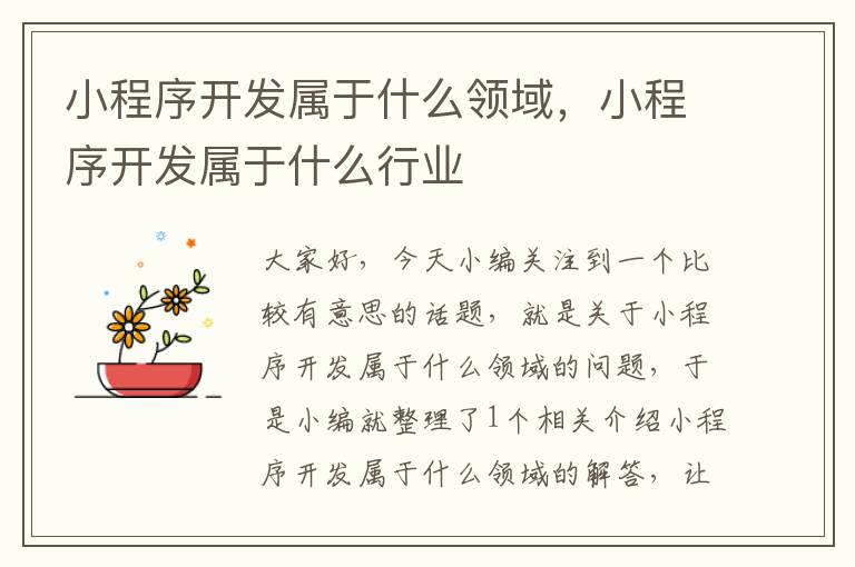 小程序开发属于什么领域,小程序开发属于什么行业