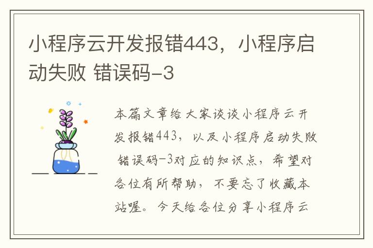 小程序云开发报错443,小程序启动失败 错误码-3