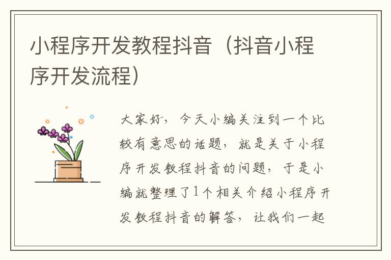 小程序开发教程抖音(抖音小程序开发流程)