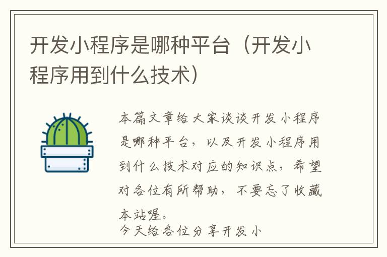 开发小程序是哪种平台(开发小程序用到什么技术)