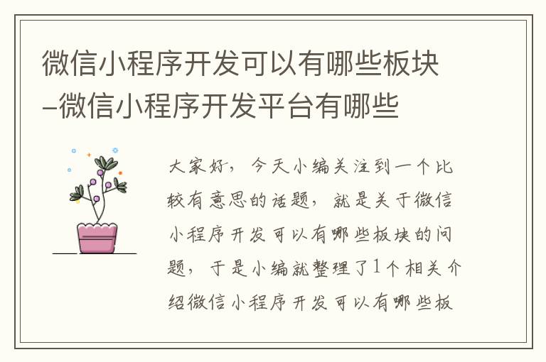 微信小程序开发可以有哪些板块-微信小程序开发平台有哪些