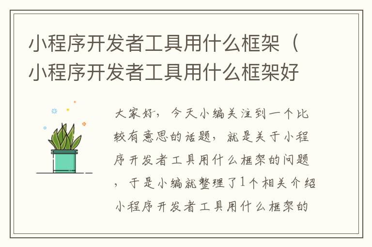 小程序开发者工具用什么框架(小程序开发者工具用什么框架好)