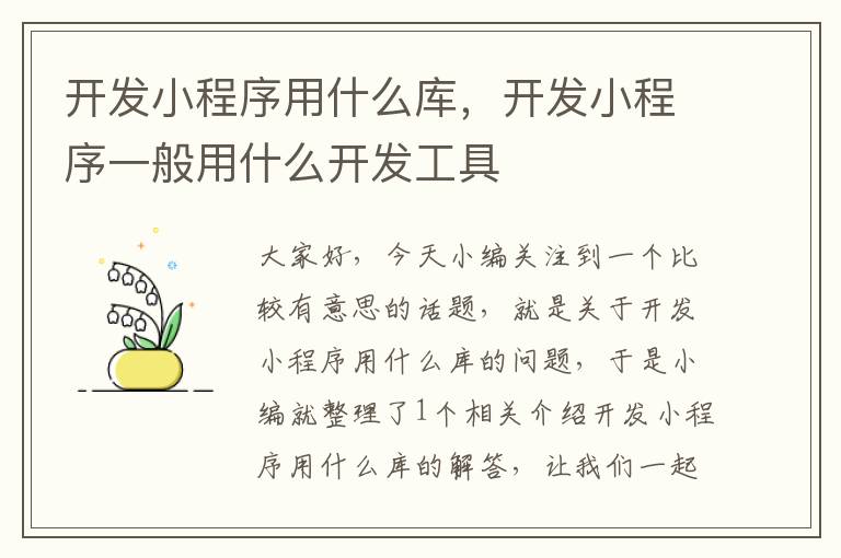 开发小程序用什么库,开发小程序一般用什么开发工具