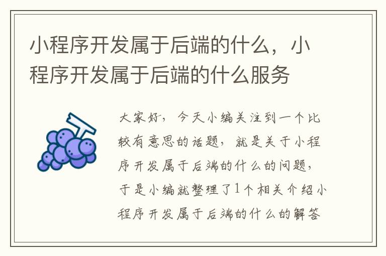 小程序开发属于后端的什么，小程序开发属于后端的什么服务