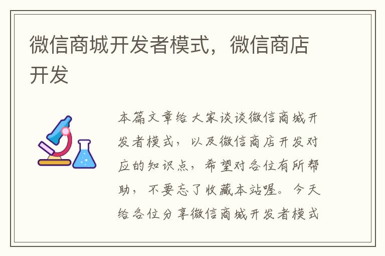 微信商城开发者模式,微信商店开发