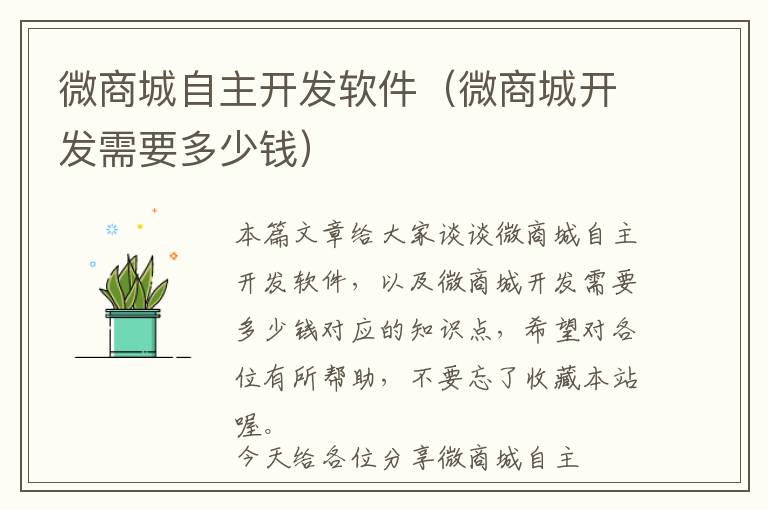 微商城自主开发软件(微商城开发需要多少钱)