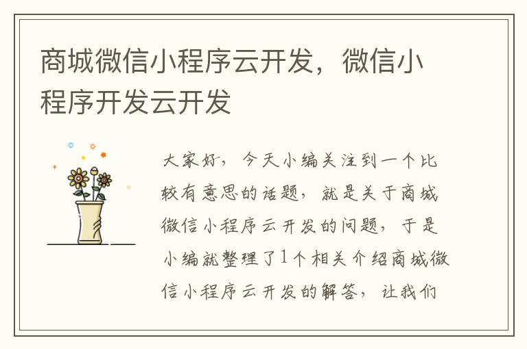 商城微信小程序云开发,微信小程序开发云开发