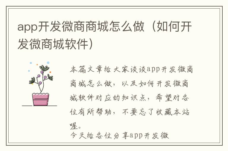 app开发微商商城怎么做(如何开发微商城软件)