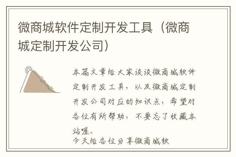 微商城软件定制开发工具(微商城定制开发公司)